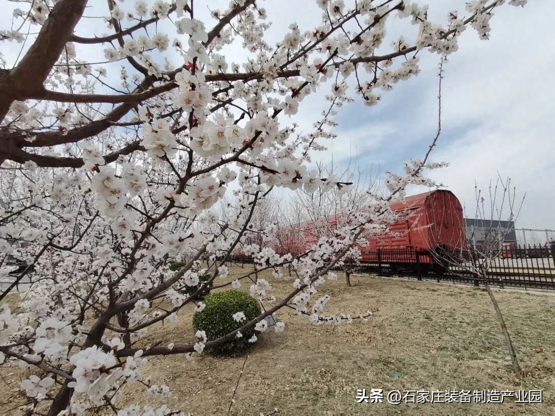 石家庄钢结构加工厂生产厂家_石家庄钢结构厂家_石家庄钢结构加工厂